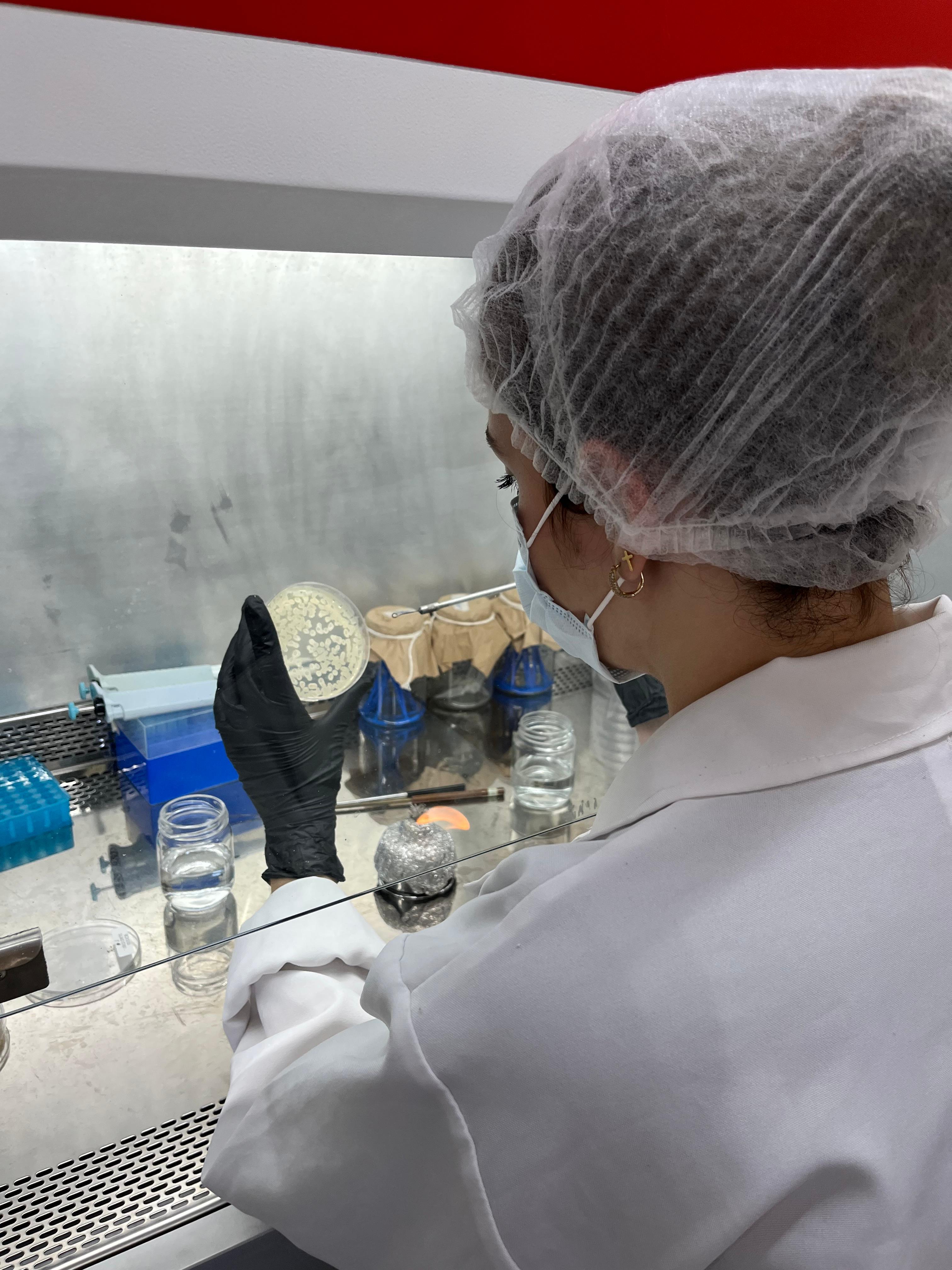 Análises Microbiológicas AC2